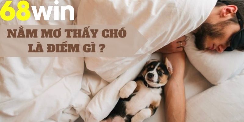 Nằm Mơ Thấy Chó